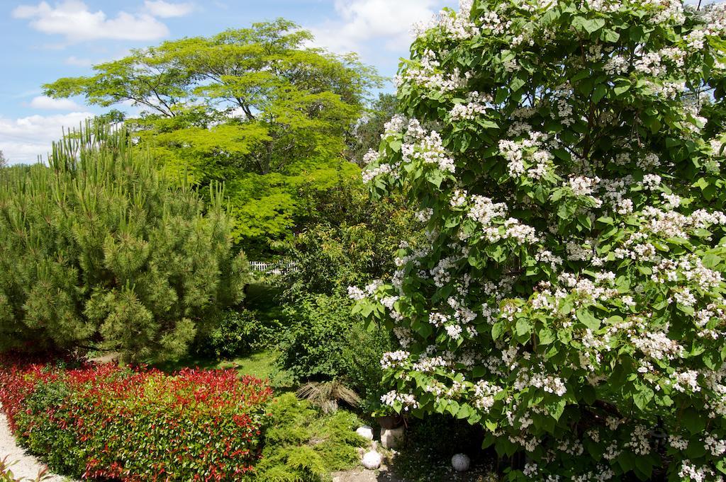 Balade D'Alienor Bed & Breakfast Taillebourg  Exterior photo